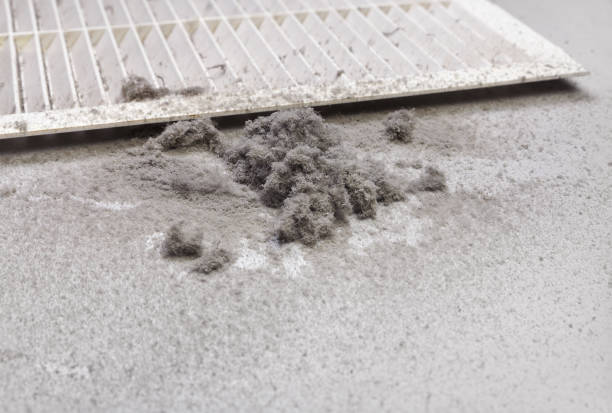 Best HVAC Duct Inspection Services  in Citrus Hills, FL